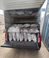 بالش سرای میلاد