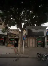 اتولاستیک غلامی