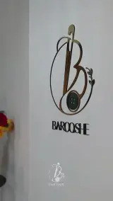 مزون باروشه