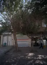 موبایل شارق