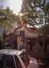 مواد غذایی و پروتئینی زارع