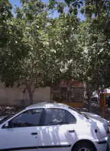 لبنیات محلی دهکده