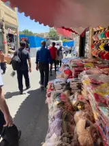 تولید و پخش لباس زیر زنانه رضا سپهری