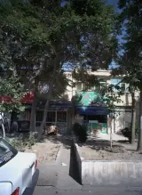 گیاهان دارویی توکل