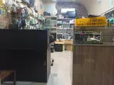 کافی نت سیمرغ