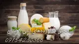 پخش فراورده های لبنی کوشان