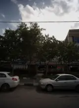 لوازم یدکی و بدنه داودی