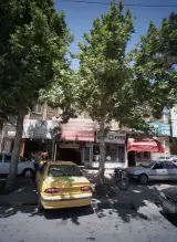 گیاهان دارویی طب الرضا