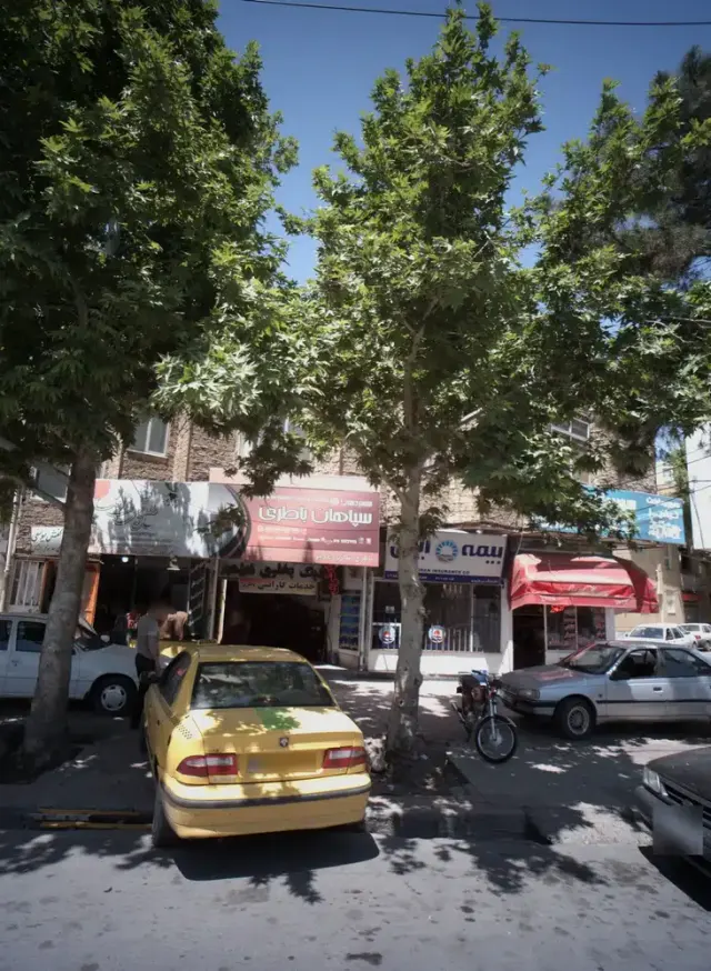 گیاهان دارویی طب الرضا