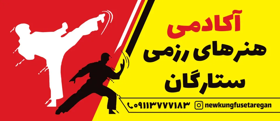 آکادمی هنرهای رزمی ستارگان