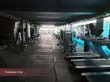 باشگاه بدنسازی گوریلا