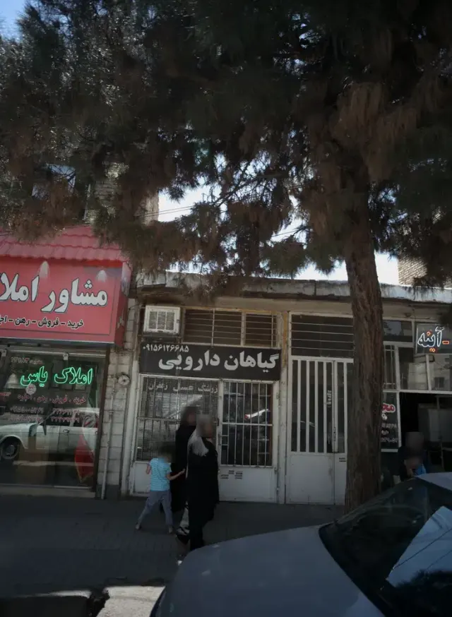 گیاهان دارویی