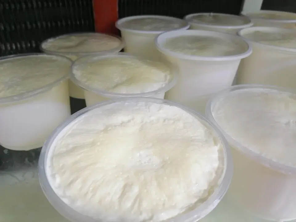 لبنیات محلی ناب (مرادی)