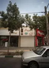 دکوراسیون داخلی الیزه