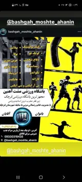 باشگاه ورزشی مشت آهنین