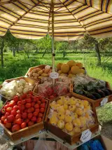میوه فروشی لانه زنبوری