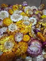 ادویجات و گیاهان دارویی و خشکبار اکبری