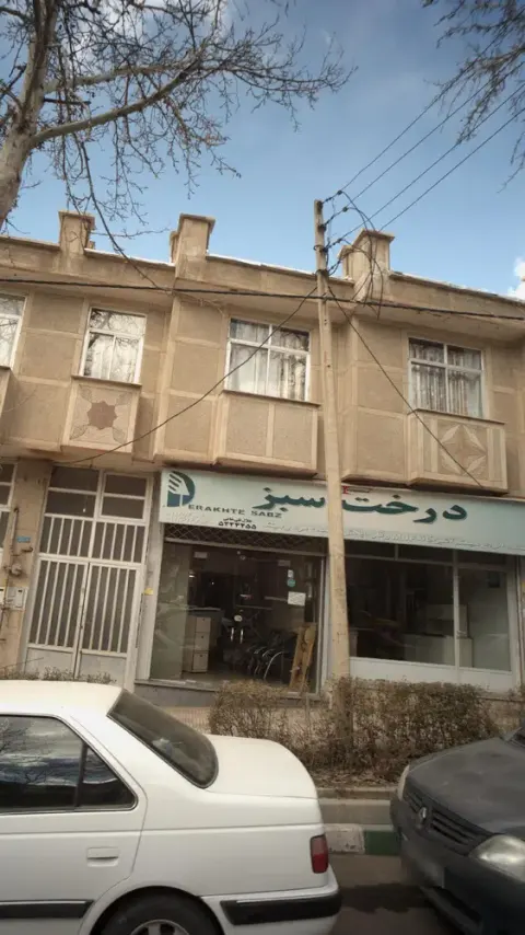 درخت سبز