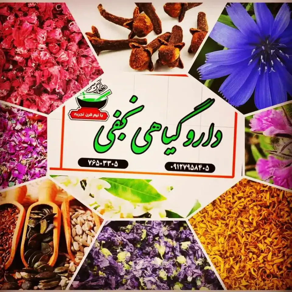 داروگیاهی نجفی