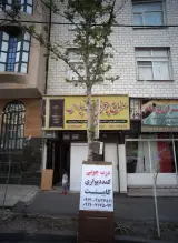 صنایع چوبی تهرانپارس