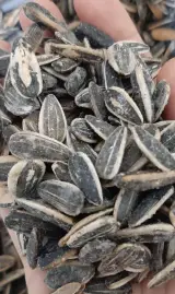 لبنیاتی سبلان
