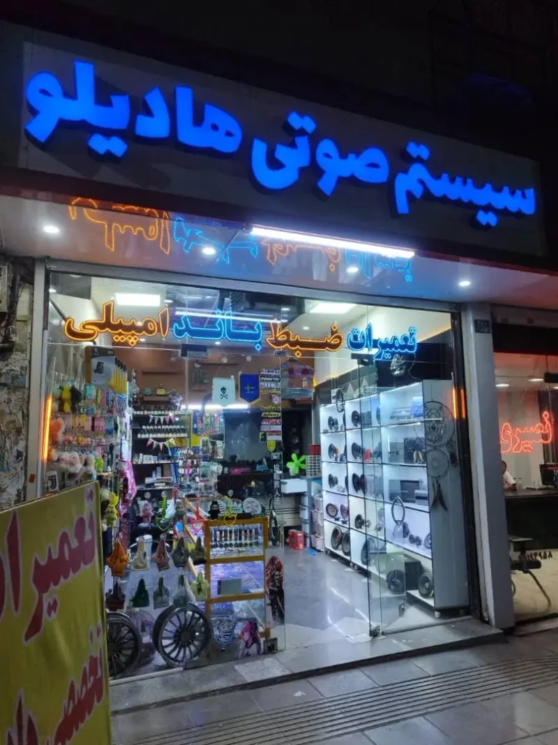 تعمیر سیستم صوتی هادیلو