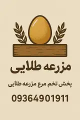 پخش تخم مرغ مزرعه طلائی