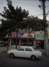 عطاری طبیعت سبز