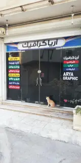 آریاگرافیک (چاپ و تبلیغات)