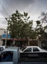 فروشگاه لباس زیر و جوراب مردانه