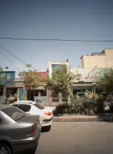 گیاهان دارویی شفا برگ