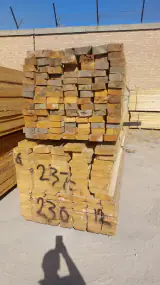 چوب فروشی خانی(آویار چوب)