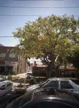 سوپر مارکت باران
