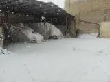 فروشگاه مصالح ساختمانی و باسکول برادران برزگر