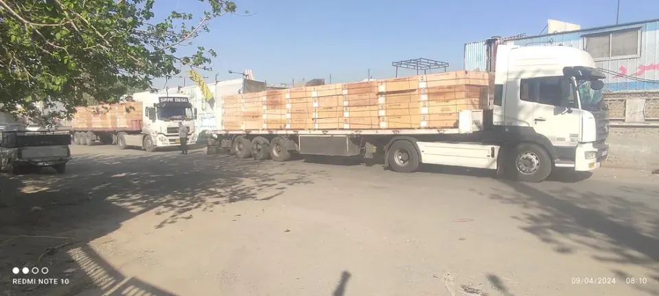 چوب جمشیدی