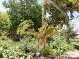 اقامتگاه ملکی