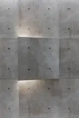 بتــن اکسپوز گــریــفیــن