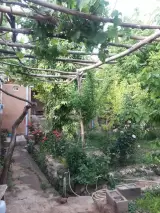 اقامتگاه بومگردی رویین دژ