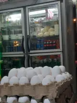 لبنیات ساعدیان
