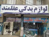 لوازم یدکی و تزییناتی عقلمند.