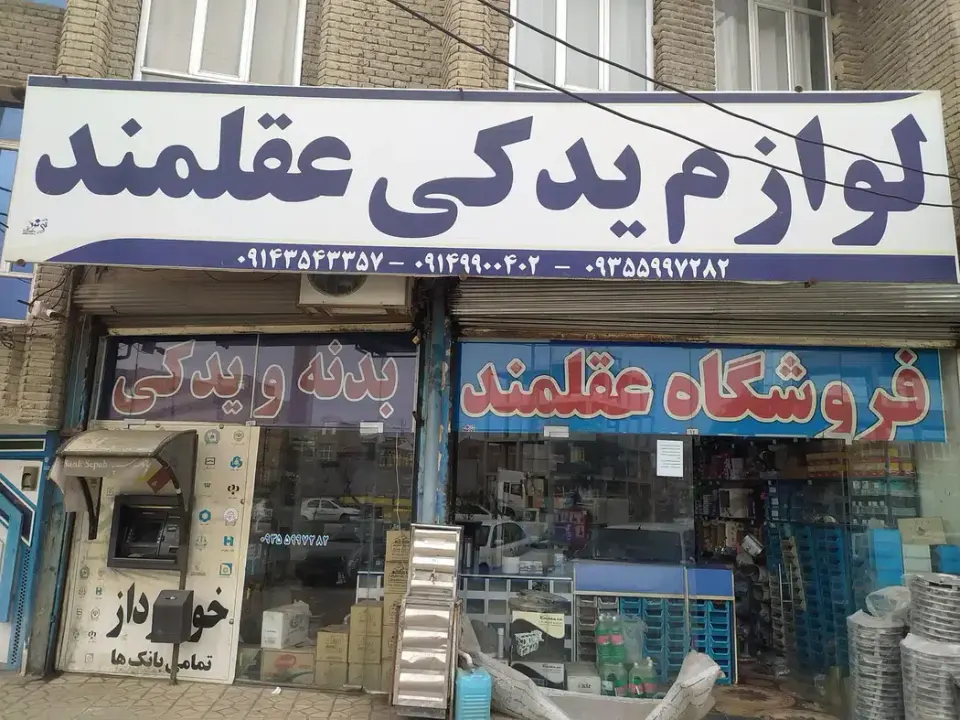 لوازم یدکی و تزییناتی عقلمند.
