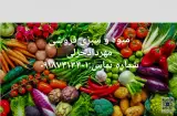 میوه وسبزی فروشی مهردادخزلی