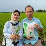 برنج فروشی عدالت