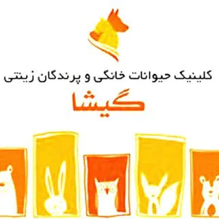 كلينيك دامپزشكي گيشا _مشهد