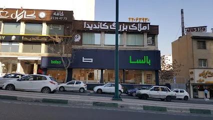 املاک کاندیدا