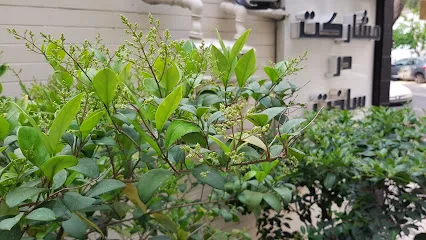 گروه مشاورین املاک کلبه