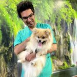 کلینیک دامپزشکی آوین | Avin Veterinary Clinic