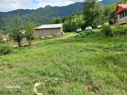 املاک بزرگ عرشیا