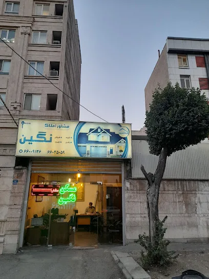 املاک نگین