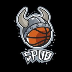 Spod basketball academy